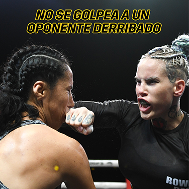 BKFC Oponente Derribado